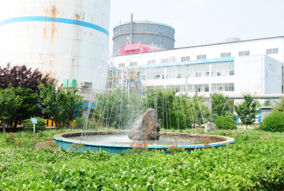 1621589237165087722.png image.png