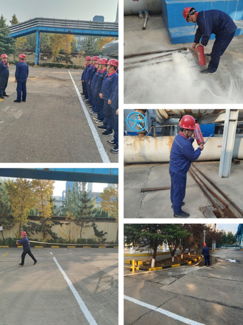 1699753790392054810.png 图片19.png